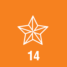 Pole adventního kalendáře pro 14.12.