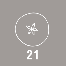 Pole adventního kalendáře pro 21.12.