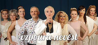 Jana Ryšánek Schmiedtová, Michaela Doleželová: Vzpoura nevěst