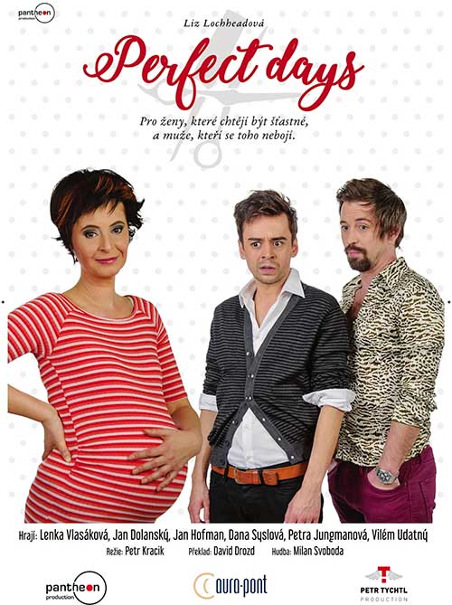 Perfect days, plakát